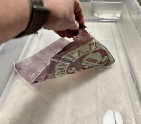 Virtual Investigation workshop of Emulsion Lifts, faux plaster & more